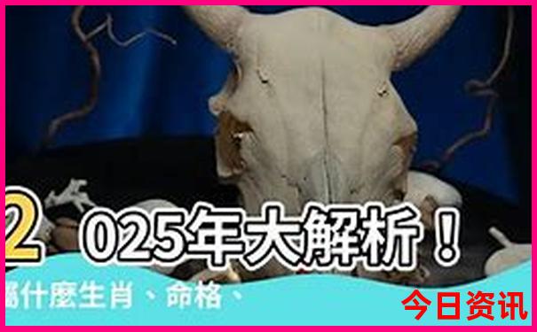 夏天适合去海边旅游的地方